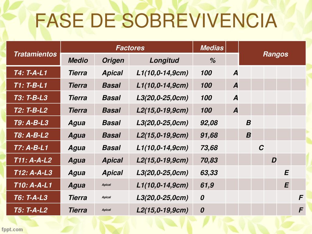 FASE DE SOBREVIVENCIA Tratamientos Factores Medias Rangos Medio Origen