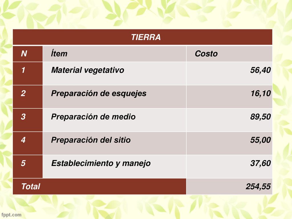 TIERRA N. Ítem. Costo. 1. Material vegetativo. 56, Preparación de esquejes. 16,