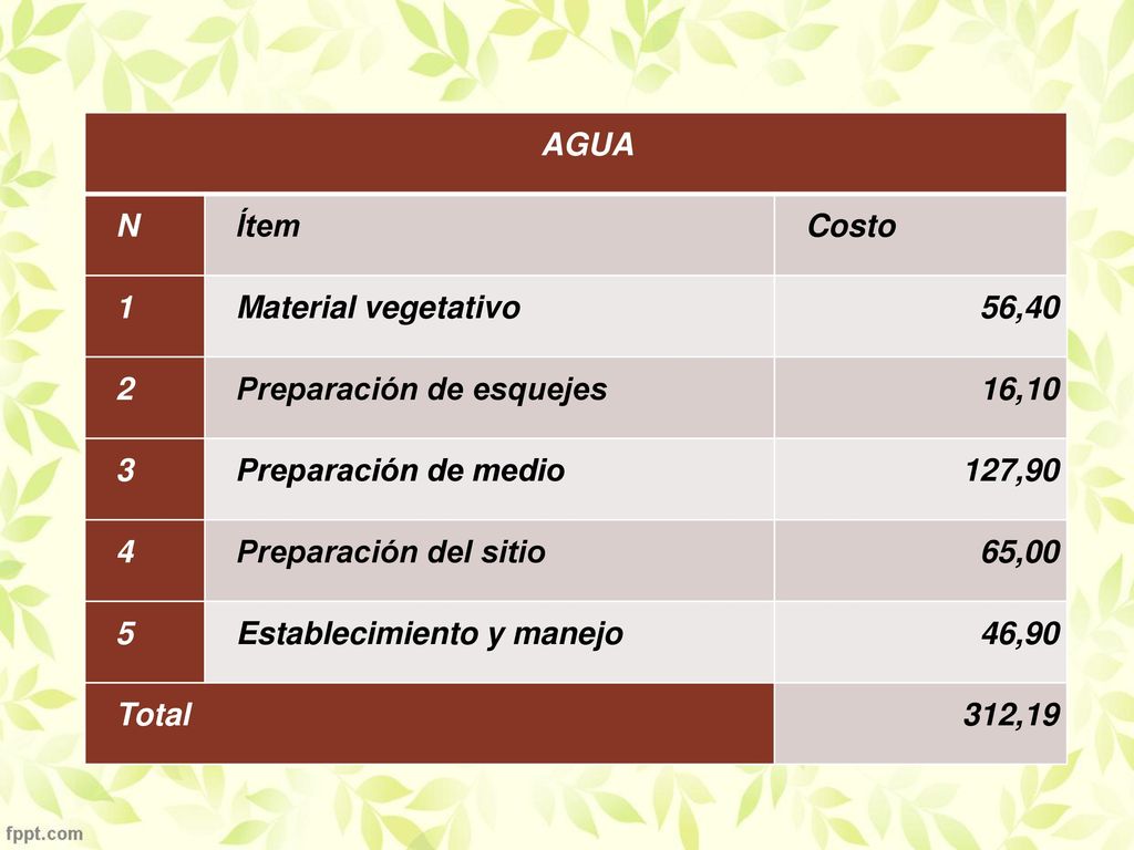 AGUA N. Ítem. Costo. 1. Material vegetativo. 56, Preparación de esquejes. 16, Preparación de medio.
