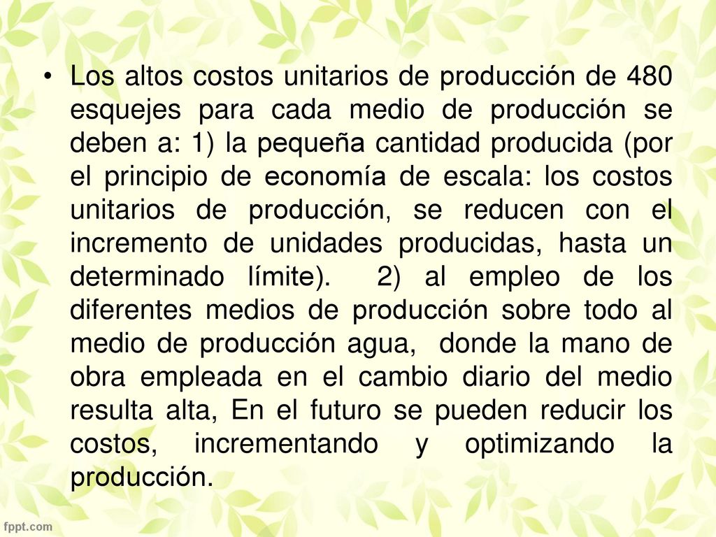 Los altos costos unitarios de producción de 480 esquejes para cada medio de producción se deben a: 1) la pequeña cantidad producida (por el principio de economía de escala: los costos unitarios de producción, se reducen con el incremento de unidades producidas, hasta un determinado límite).
