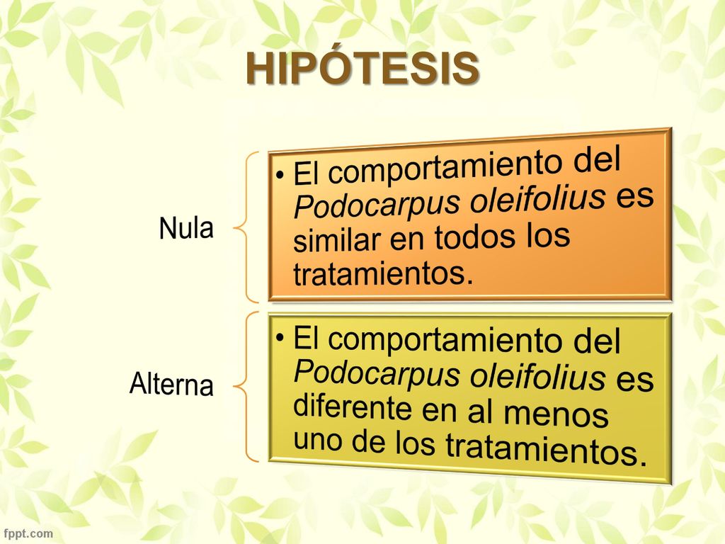 HIPÓTESIS Nula. El comportamiento del Podocarpus oleifolius es similar en todos los tratamientos. Alterna.