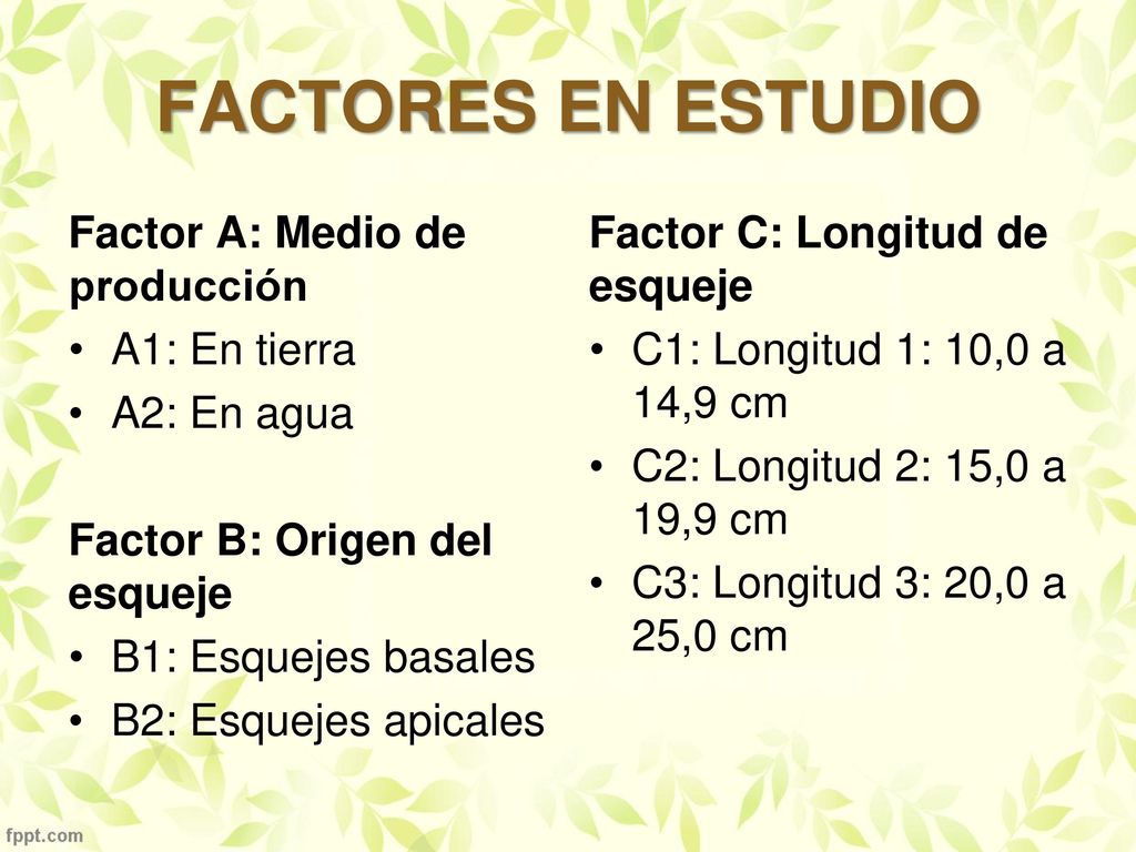 FACTORES EN ESTUDIO Factor A: Medio de producción A1: En tierra
