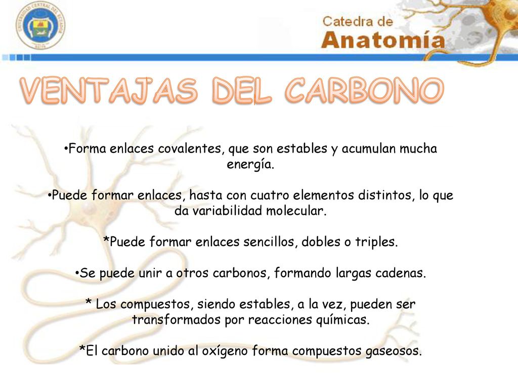 VENTAJAS DEL CARBONO Forma enlaces covalentes, que son estables y acumulan mucha energía.