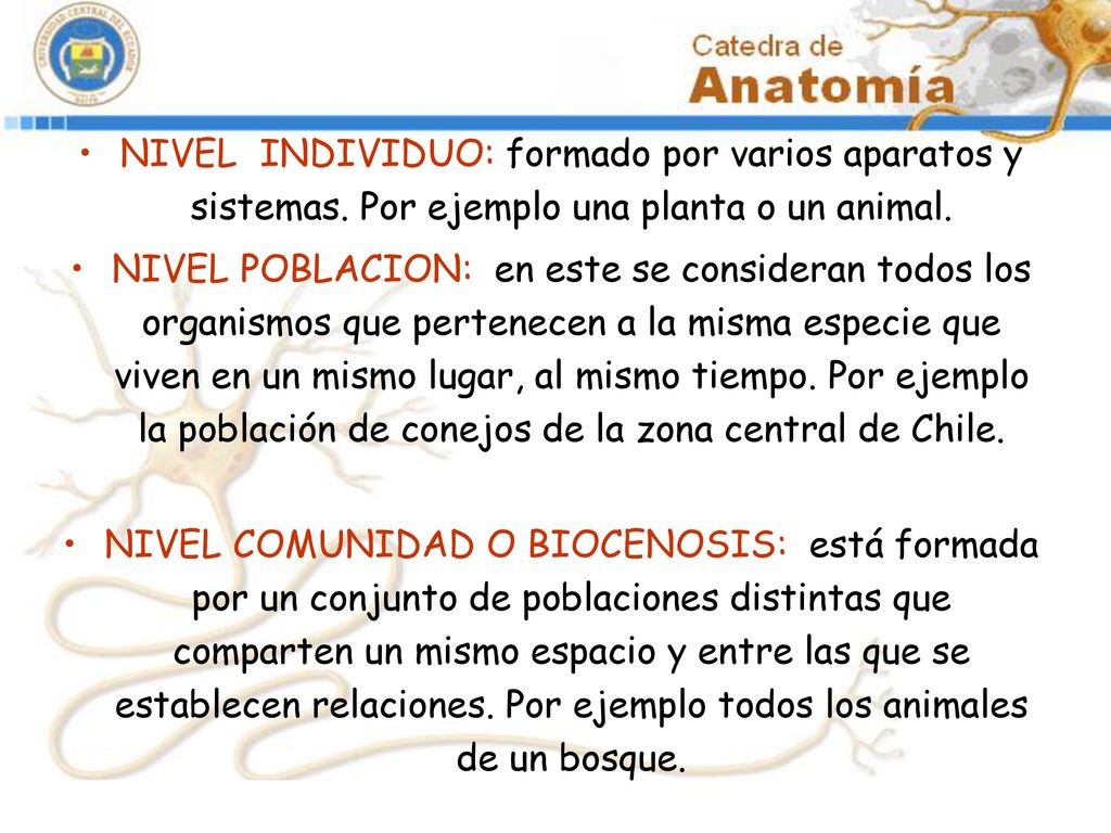 NIVEL INDIVIDUO: formado por varios aparatos y sistemas