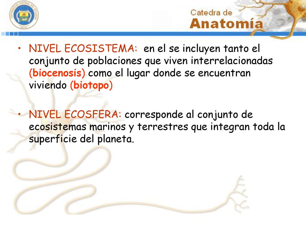 NIVEL ECOSISTEMA: en el se incluyen tanto el conjunto de poblaciones que viven interrelacionadas (biocenosis) como el lugar donde se encuentran viviendo (biotopo)