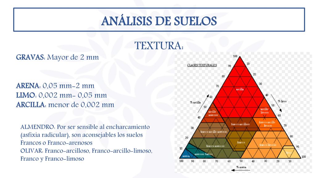 ANÁLISIS DE SUELOS TEXTURA: GRAVAS: Mayor de 2 mm ARENA: 0,05 mm-2 mm