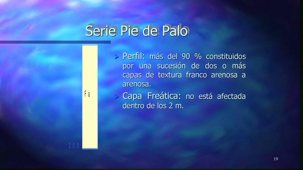 Serie Pie de Palo Perfil: más del 90 % constituidos por una sucesión de dos o más capas de textura franco arenosa a arenosa.