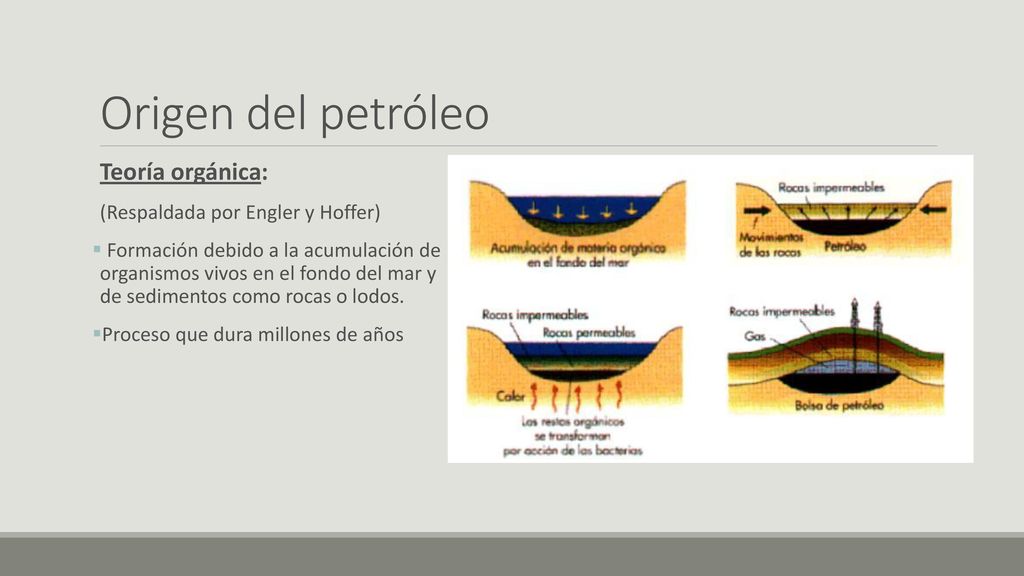 Origen del petróleo Teoría orgánica: (Respaldada por Engler y Hoffer)