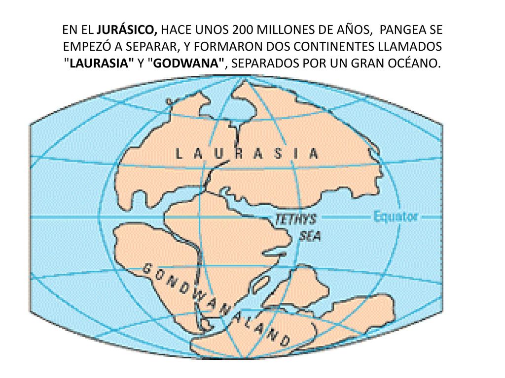 EN EL JURÁSICO, HACE UNOS 200 MILLONES DE AÑOS, PANGEA SE EMPEZÓ A SEPARAR, Y FORMARON DOS CONTINENTES LLAMADOS LAURASIA Y GODWANA , SEPARADOS POR UN GRAN OCÉANO.