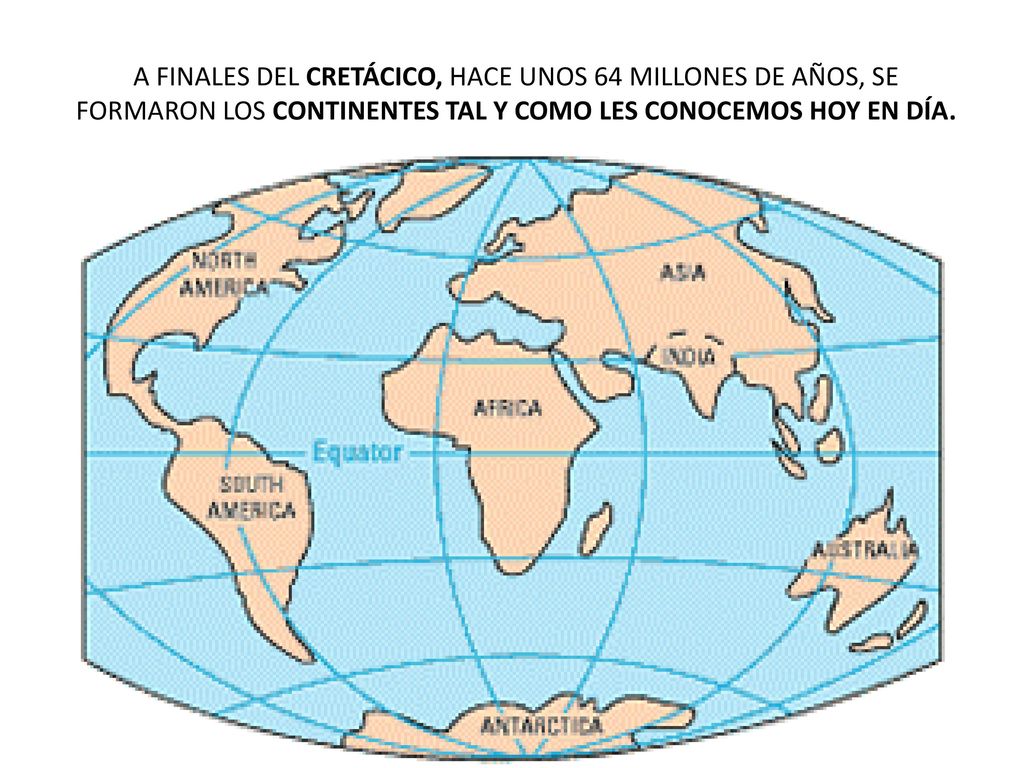 A FINALES DEL CRETÁCICO, HACE UNOS 64 MILLONES DE AÑOS, SE FORMARON LOS CONTINENTES TAL Y COMO LES CONOCEMOS HOY EN DÍA.