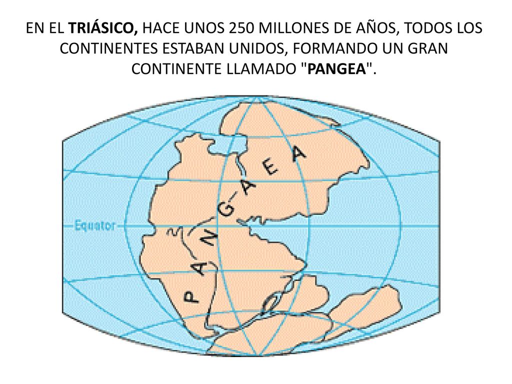 EN EL TRIÁSICO, HACE UNOS 250 MILLONES DE AÑOS, TODOS LOS CONTINENTES ESTABAN UNIDOS, FORMANDO UN GRAN CONTINENTE LLAMADO PANGEA .