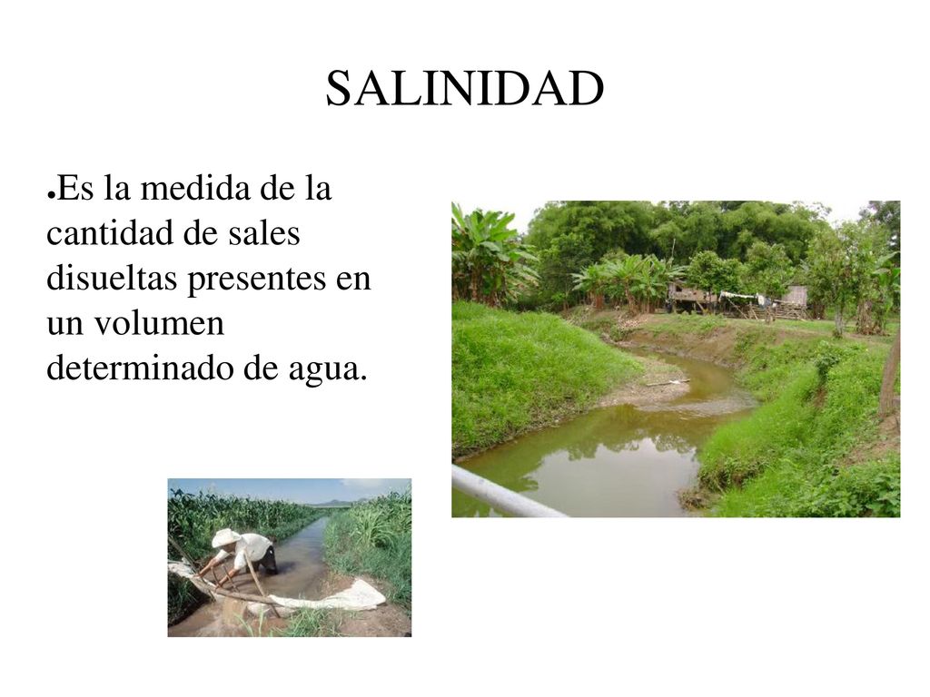 SALINIDAD Es la medida de la cantidad de sales disueltas presentes en un volumen determinado de agua.