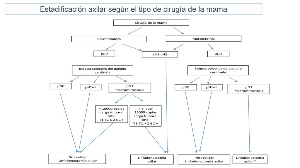 Estadificación axilar según el tipo de cirugía de la mama