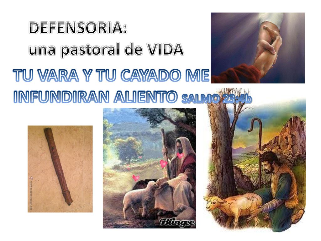 DEFENSORIA: una pastoral de VIDA TU VARA Y TU CAYADO ME INFUNDIRAN ALIENTO SALMO 23:4b