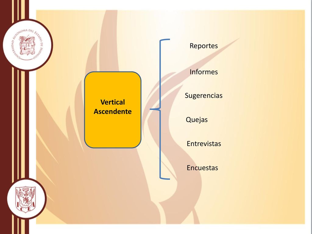 Reportes Informes Sugerencias Vertical Ascendente Quejas Entrevistas Encuestas