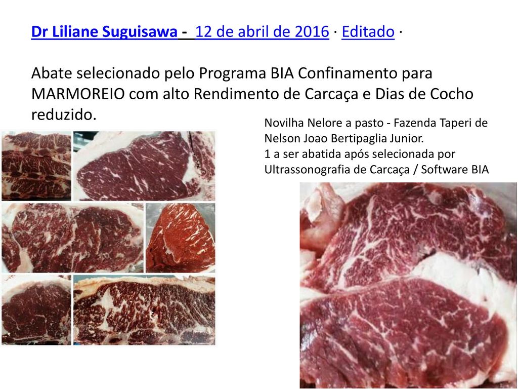 Dr Liliane Suguisawa - 12 de abril de 2016 · Editado · Abate selecionado pelo Programa BIA Confinamento para MARMOREIO com alto Rendimento de Carcaça e Dias de Cocho reduzido.