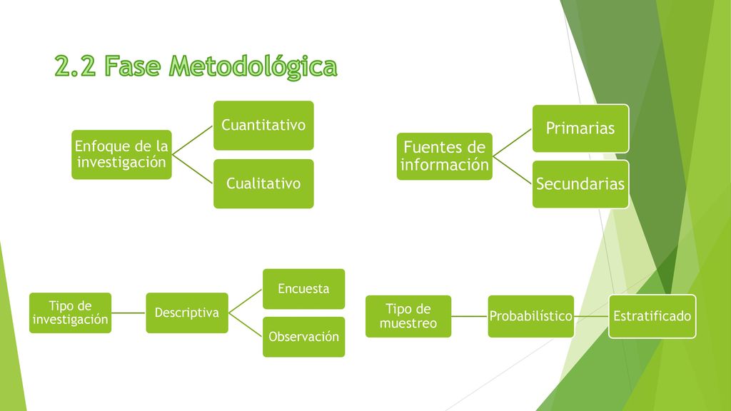 2.2 Fase Metodológica Tipo de muestreo Probabilístico Estratificado