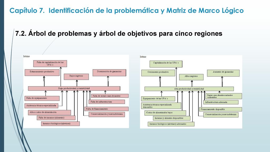 Capítulo 7. Identificación de la problemática y Matriz de Marco Lógico