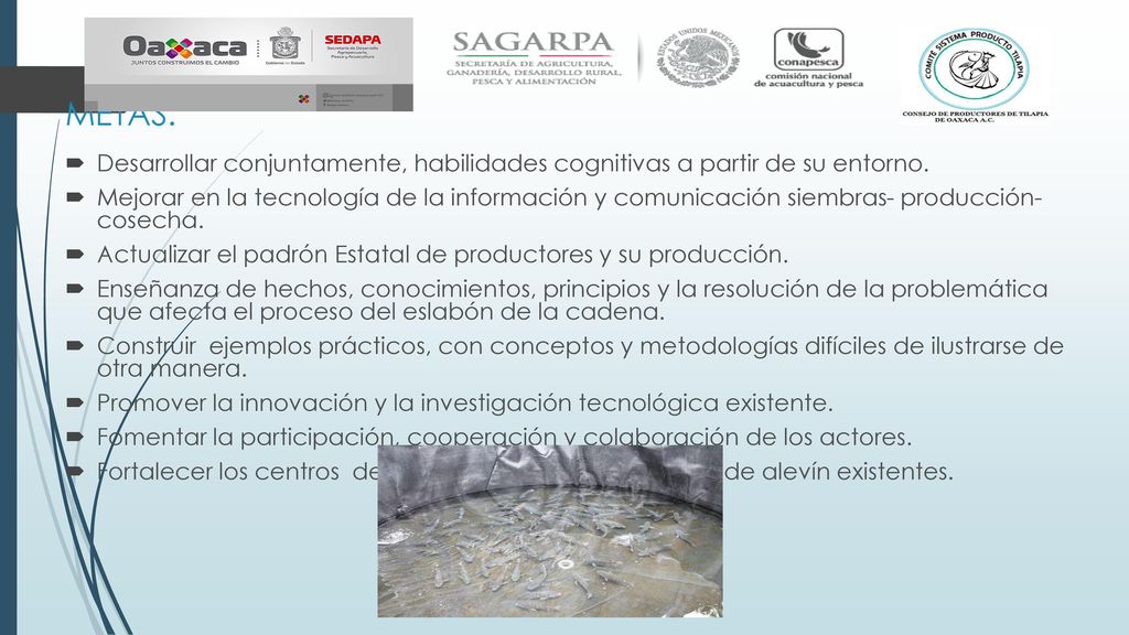 METAS: Desarrollar conjuntamente, habilidades cognitivas a partir de su entorno.