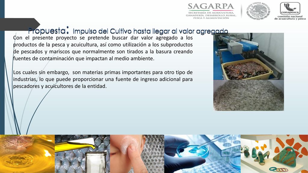 Propuesta: Impulso del Cultivo hasta llegar al valor agregado