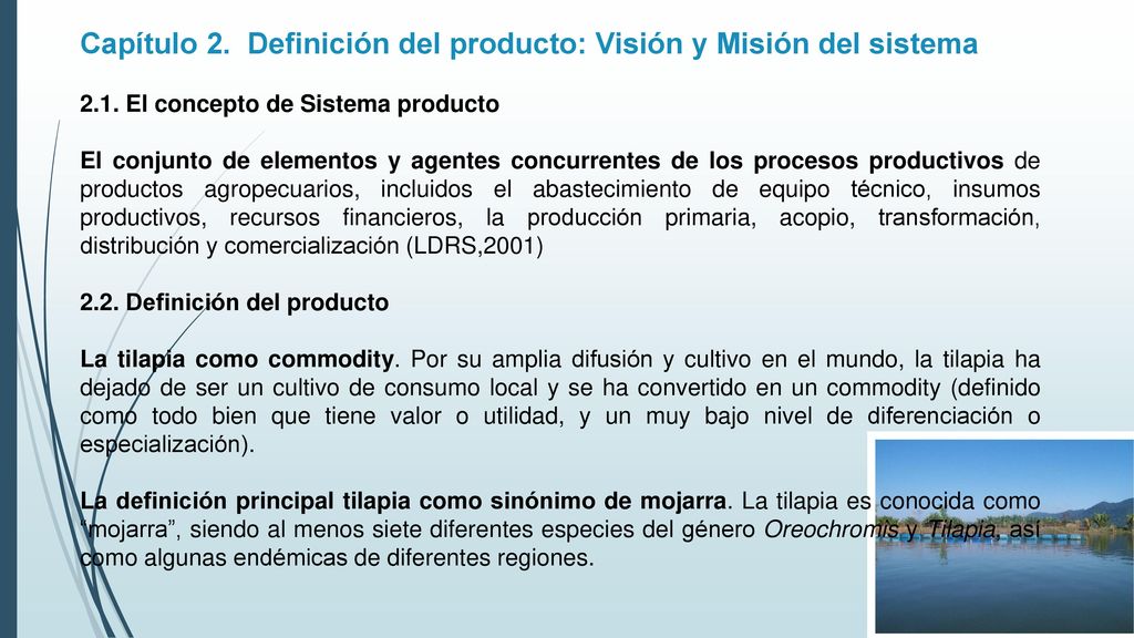 Capítulo 2. Definición del producto: Visión y Misión del sistema