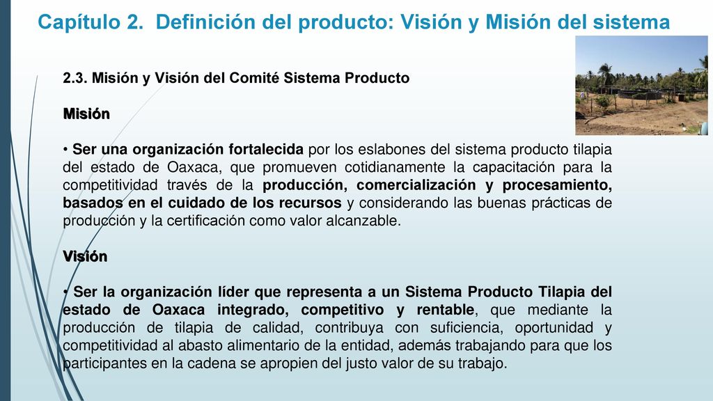 Capítulo 2. Definición del producto: Visión y Misión del sistema