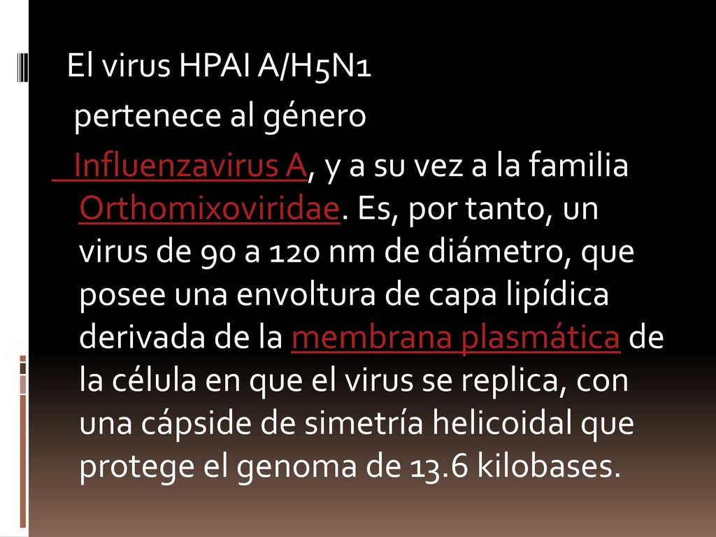 El virus HPAI A/H5N1 pertenece al género Influenzavirus A, y a su vez a la familia Orthomixoviridae.