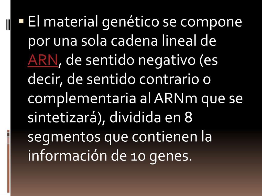 El material genético se compone por una sola cadena lineal de ARN, de sentido negativo (es decir, de sentido contrario o complementaria al ARNm que se sintetizará), dividida en 8 segmentos que contienen la información de 10 genes.