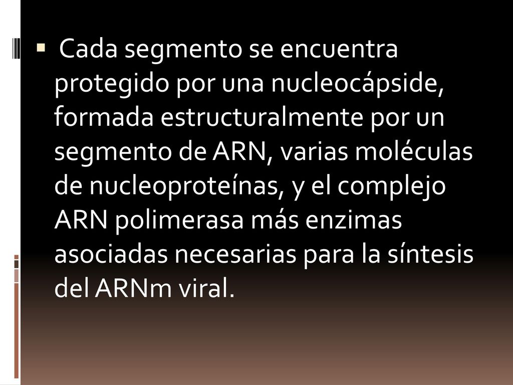 Cada segmento se encuentra protegido por una nucleocápside, formada estructuralmente por un segmento de ARN, varias moléculas de nucleoproteínas, y el complejo ARN polimerasa más enzimas asociadas necesarias para la síntesis del ARNm viral.