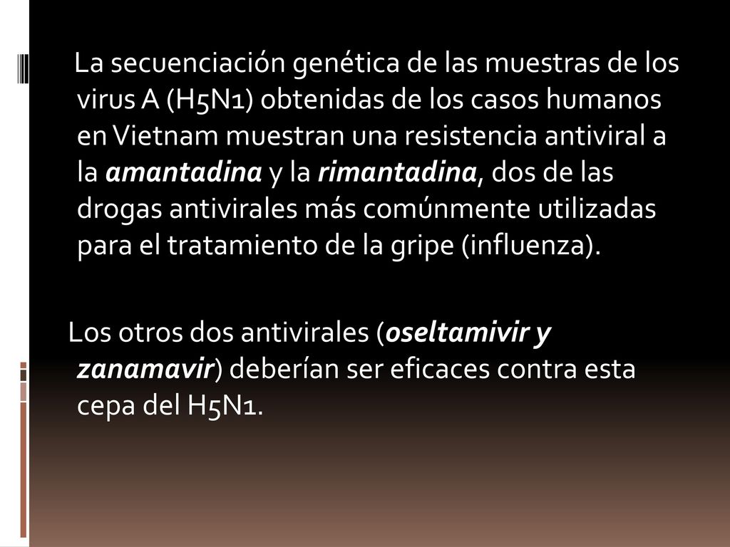 La secuenciación genética de las muestras de los virus A (H5N1) obtenidas de los casos humanos en Vietnam muestran una resistencia antiviral a la amantadina y la rimantadina, dos de las drogas antivirales más comúnmente utilizadas para el tratamiento de la gripe (influenza).