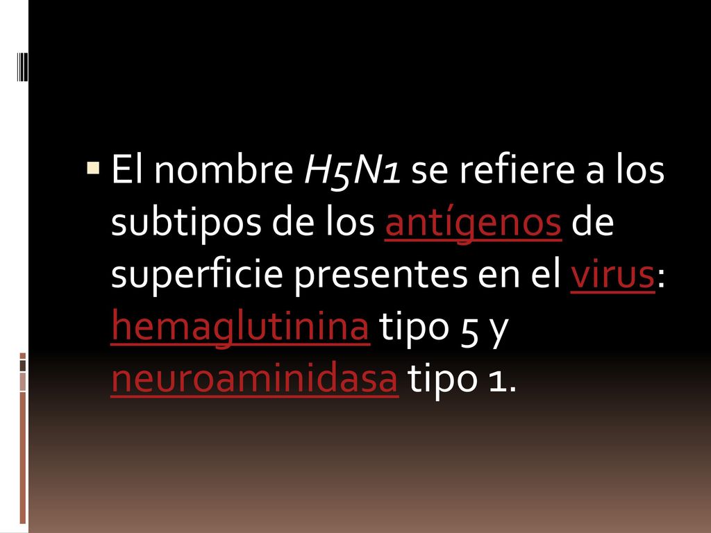 El nombre H5N1 se refiere a los subtipos de los antígenos de superficie presentes en el virus: hemaglutinina tipo 5 y neuroaminidasa tipo 1.