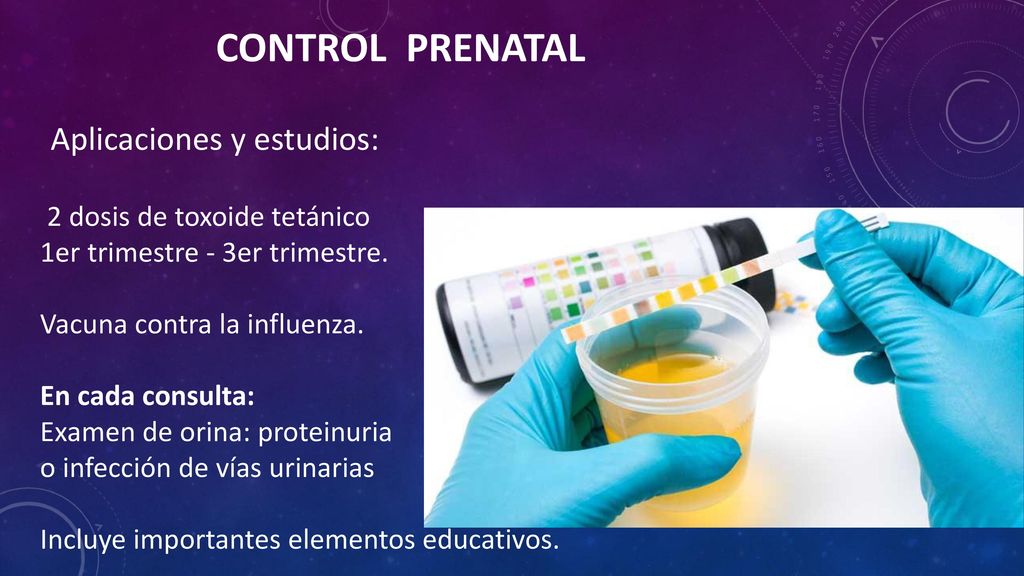 CONTROL PRENATAL Aplicaciones y estudios: 2 dosis de toxoide tetánico