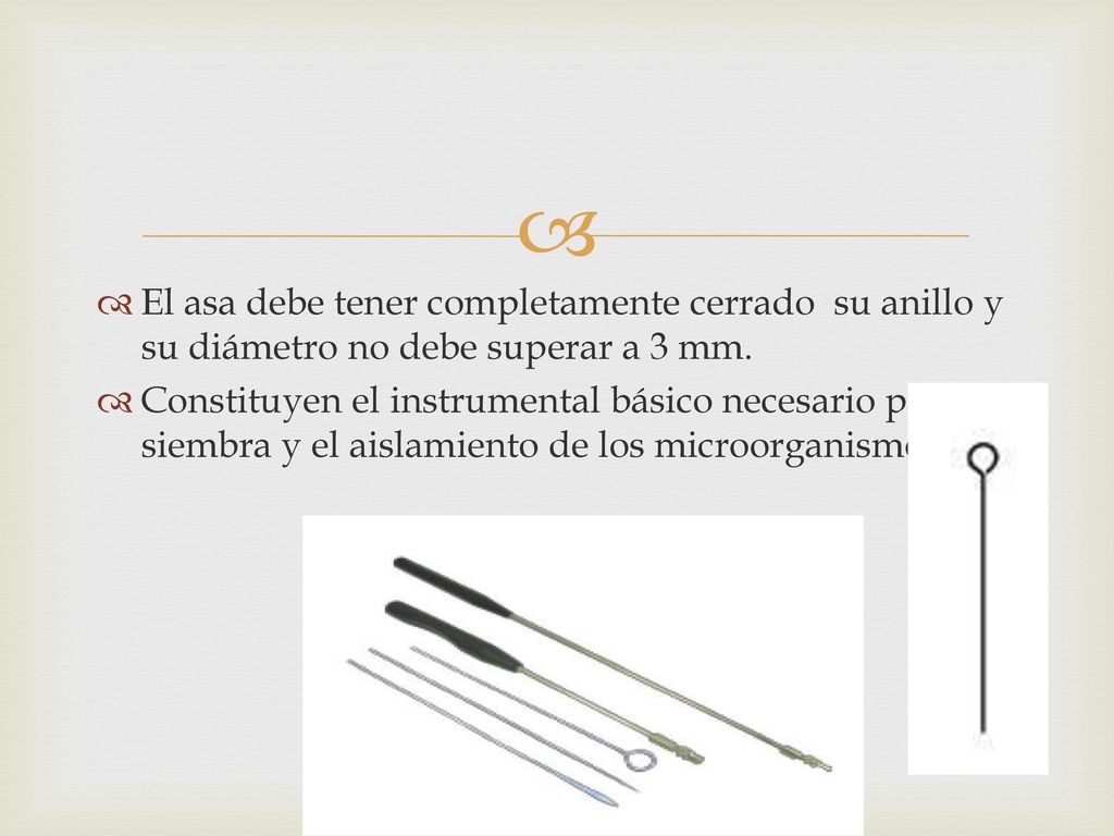 El asa debe tener completamente cerrado su anillo y su diámetro no debe superar a 3 mm.