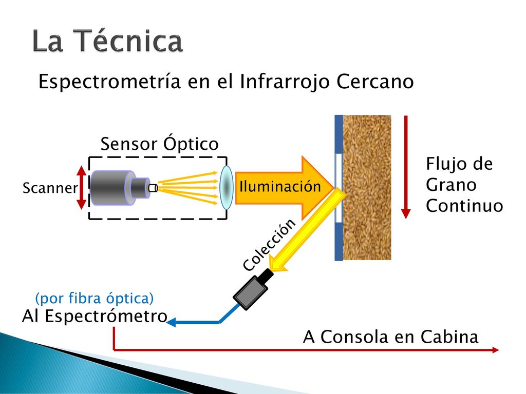 La Técnica Espectrometría en el Infrarrojo Cercano Sensor Óptico