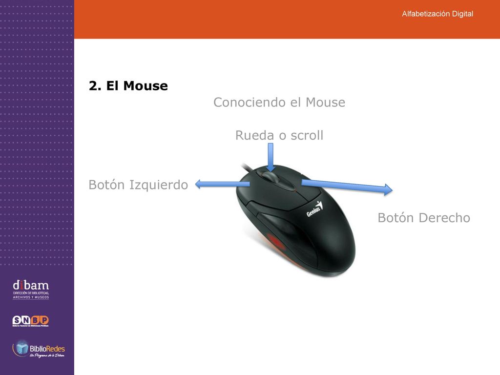 2. El Mouse Conociendo el Mouse Rueda o scroll Botón Izquierdo