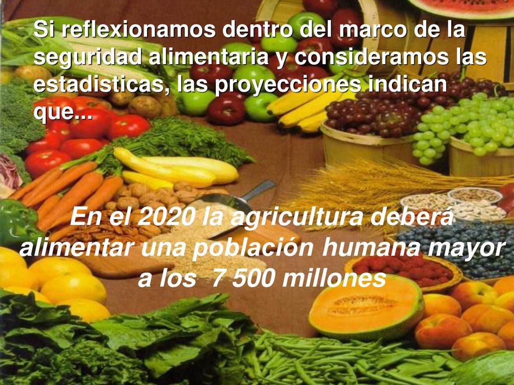 Si reflexionamos dentro del marco de la seguridad alimentaria y consideramos las estadisticas, las proyecciones indican que...