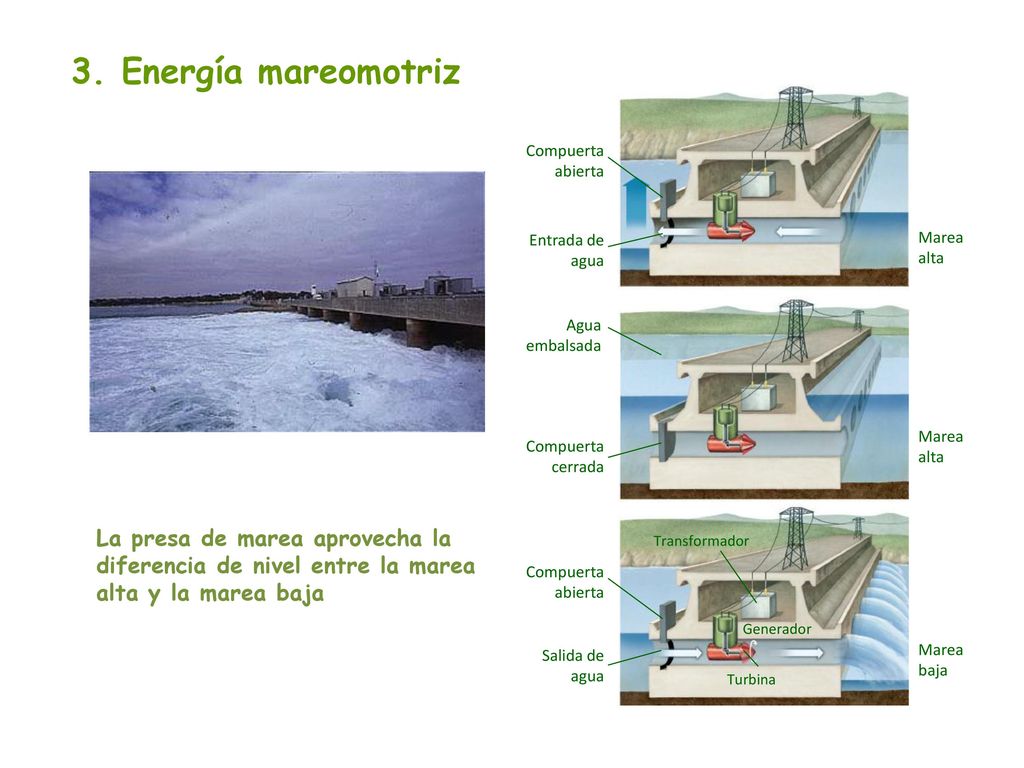 3. Energía mareomotriz Compuerta abierta. Entrada de agua. Marea alta. Agua embalsada. Marea alta.