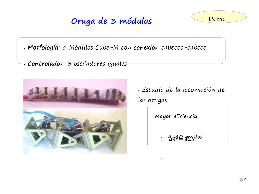 Oruga de 3 módulos Demo. Morfología: 3 Módulos Cube-M con conexión cabeceo-cabece. Controlador: 3 osciladores iguales.