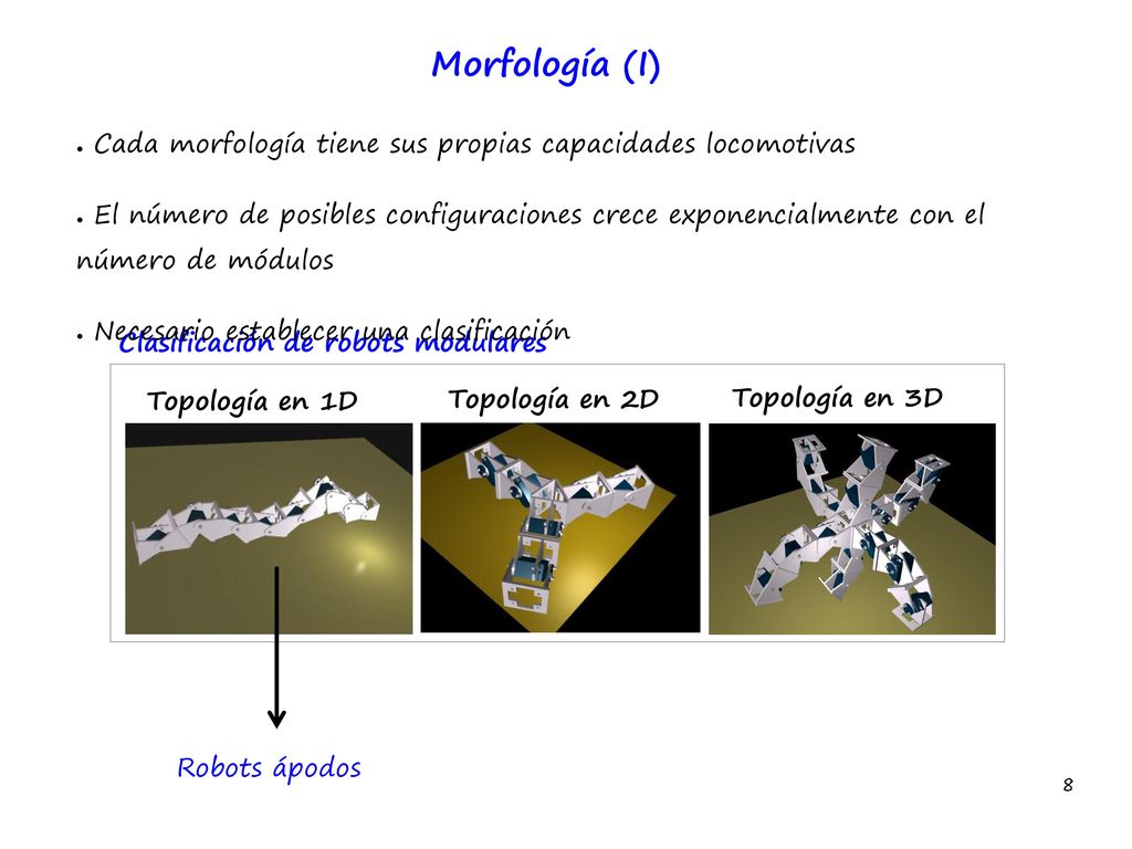 Morfología (I) Cada morfología tiene sus propias capacidades locomotivas.