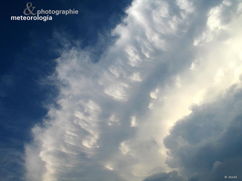 « instantánea del tiempo » · « Instantané météo »