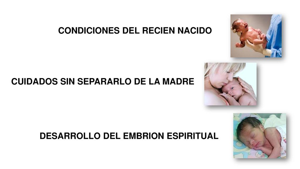 CUIDADOS SIN SEPARARLO DE LA MADRE DESARROLLO DEL EMBRION ESPIRITUAL
