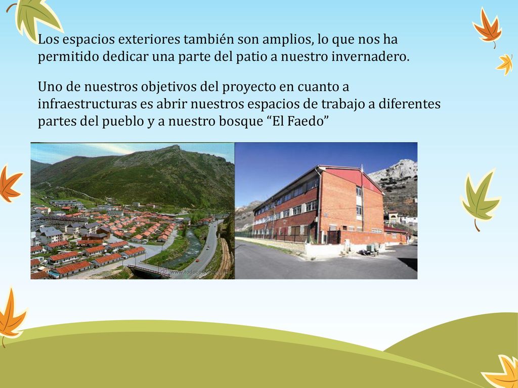 Los espacios exteriores también son amplios, lo que nos ha permitido dedicar una parte del patio a nuestro invernadero.