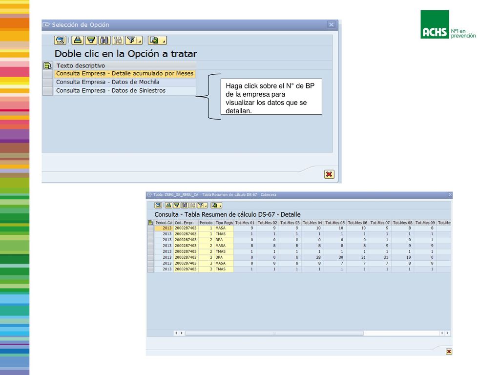 Haga click sobre el N° de BP de la empresa para visualizar los datos que se detallan.