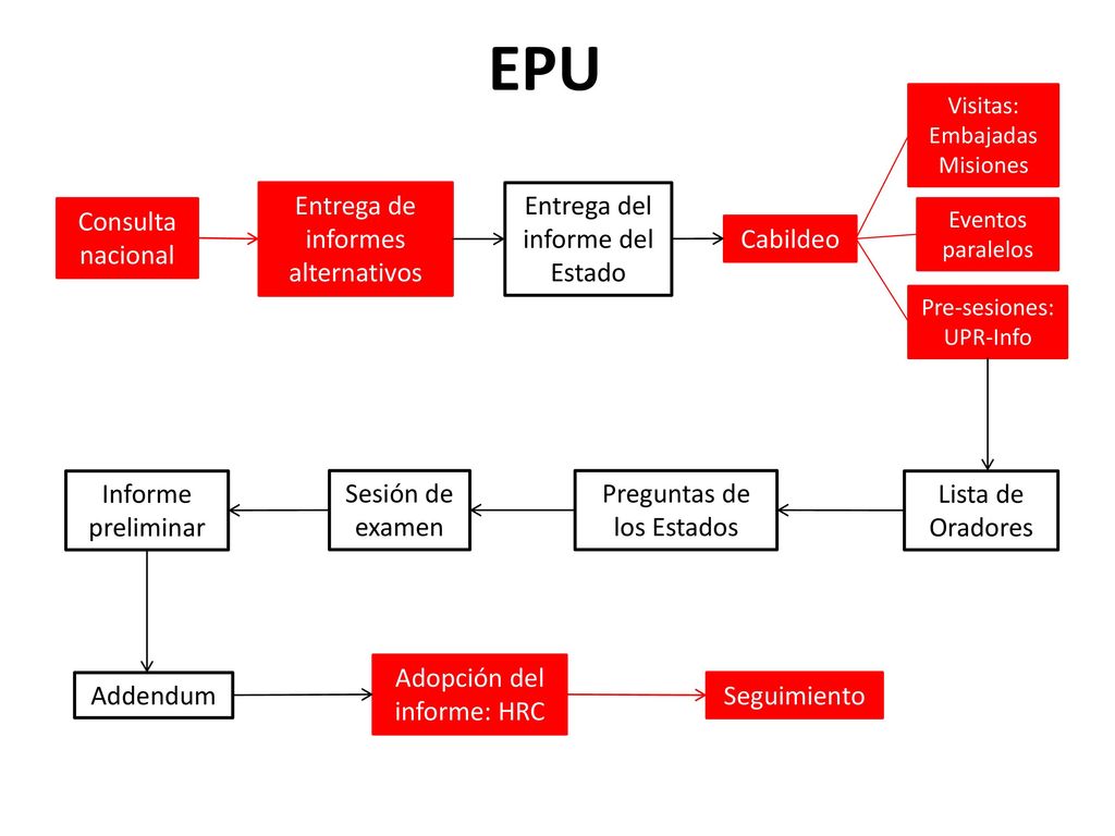 EPU Entrega de informes alternativos Entrega del informe del Estado