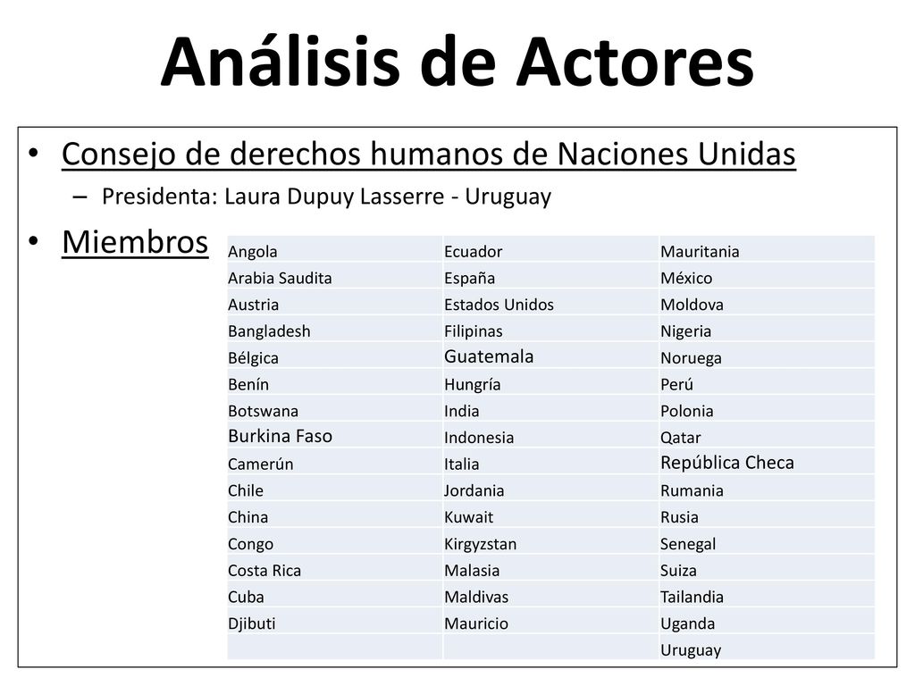 Análisis de Actores Consejo de derechos humanos de Naciones Unidas