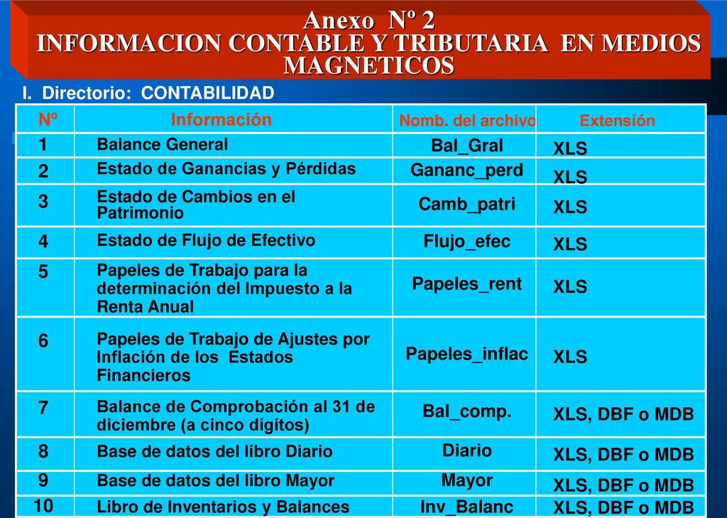 Anexo Nº 2 INFORMACION CONTABLE Y TRIBUTARIA EN MEDIOS MAGNETICOS