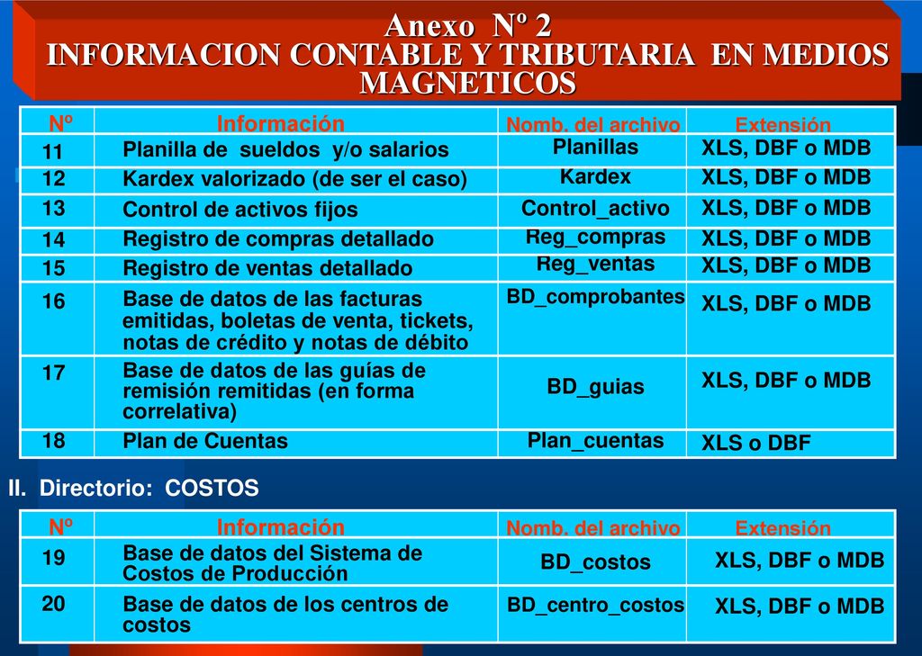Anexo Nº 2 INFORMACION CONTABLE Y TRIBUTARIA EN MEDIOS MAGNETICOS