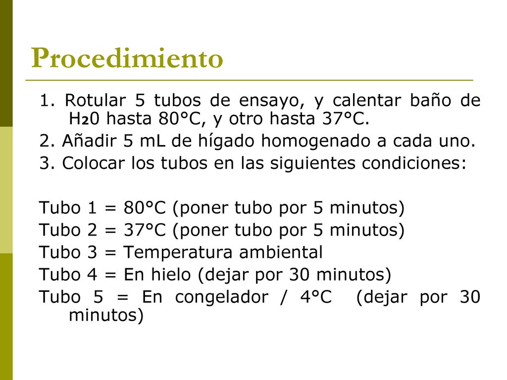 Procedimiento 1. Rotular 5 tubos de ensayo, y calentar baño de H20 hasta 80°C, y otro hasta 37°C. 2. Añadir 5 mL de hígado homogenado a cada uno.