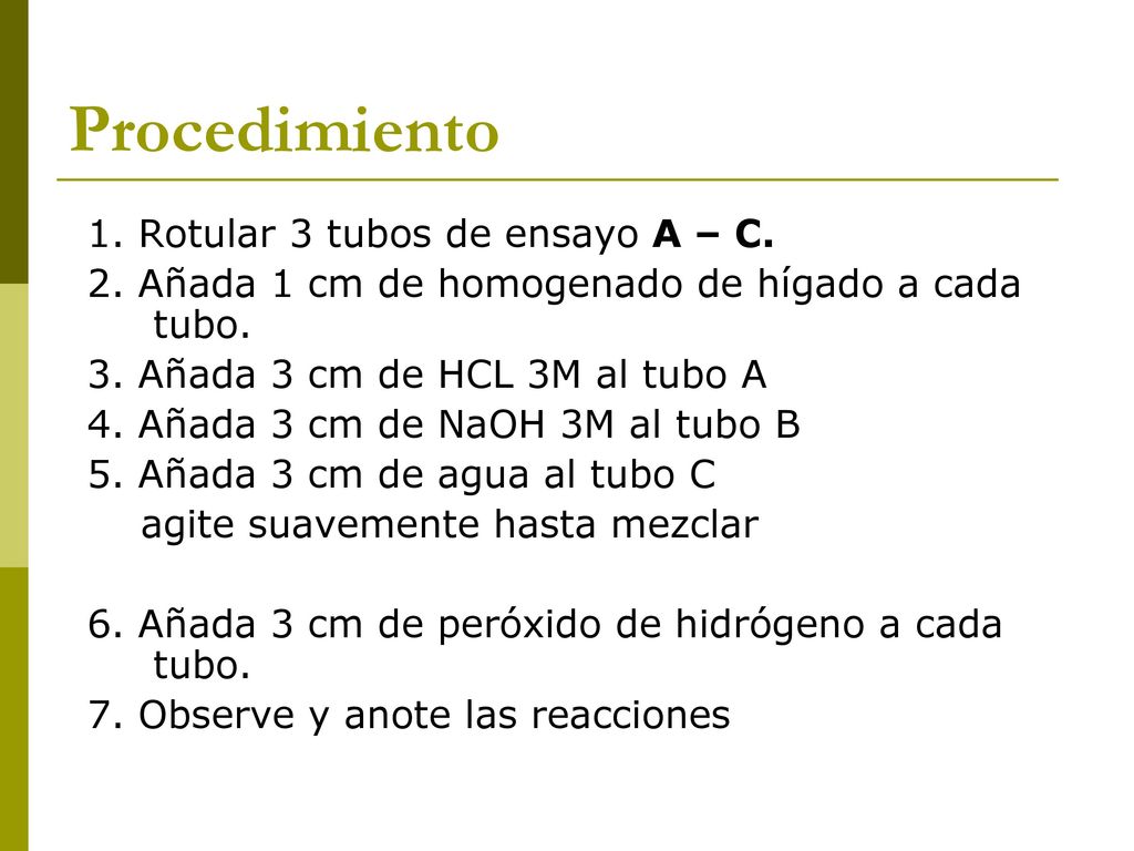 Procedimiento 1. Rotular 3 tubos de ensayo A – C.
