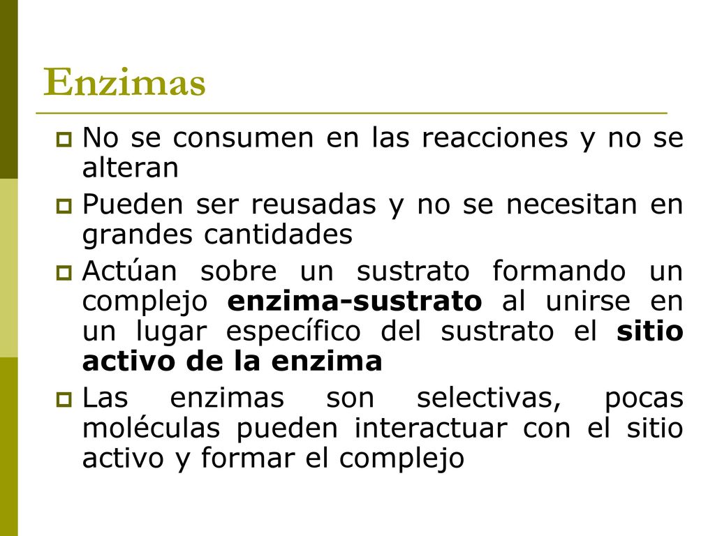 Enzimas No se consumen en las reacciones y no se alteran